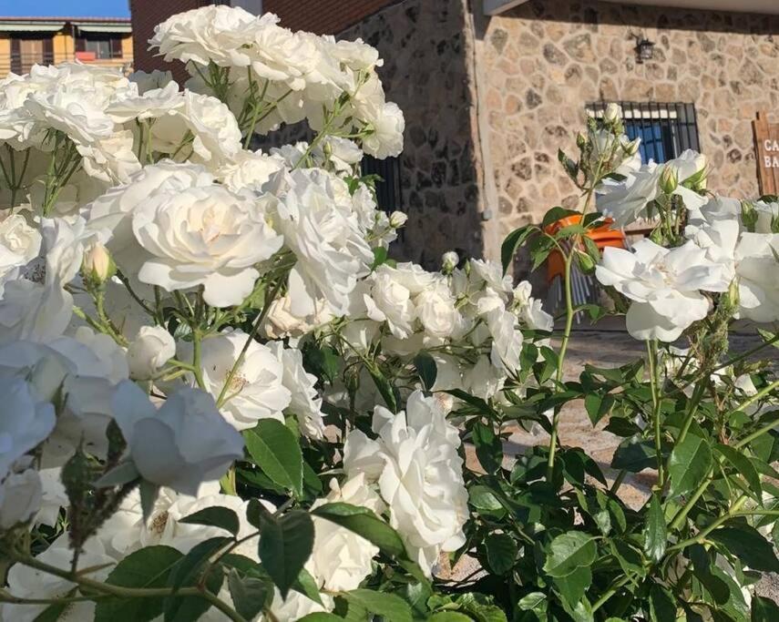 Vila Casa Balta Ávila Exteriér fotografie